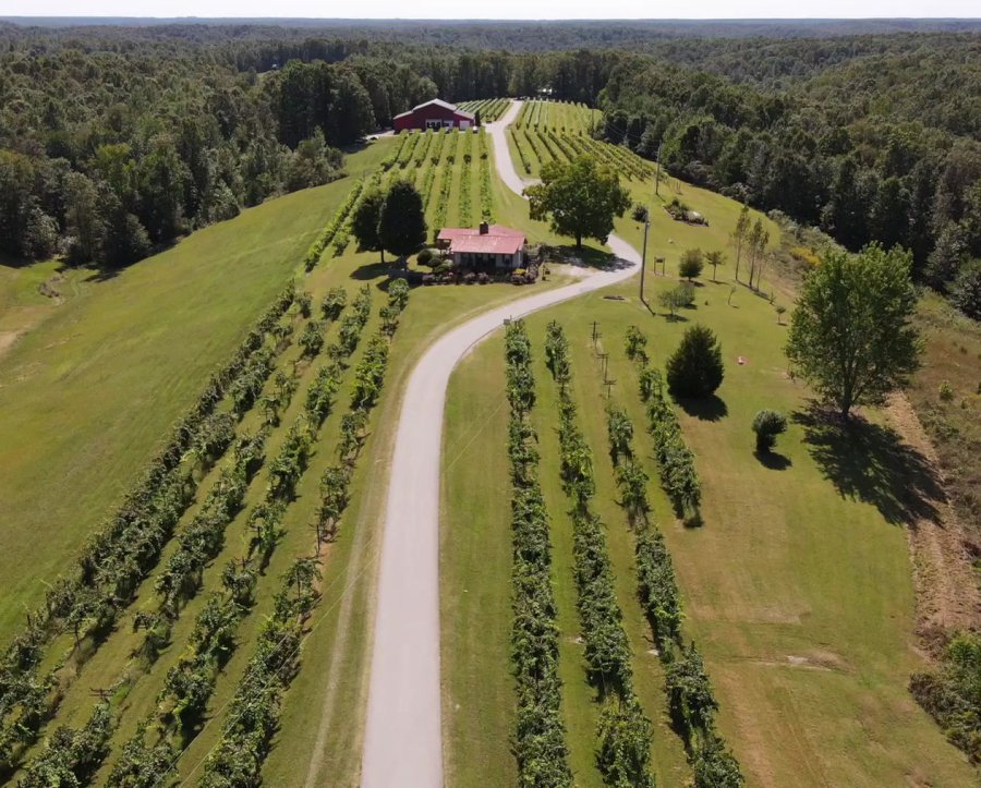 Amber Falls Winery